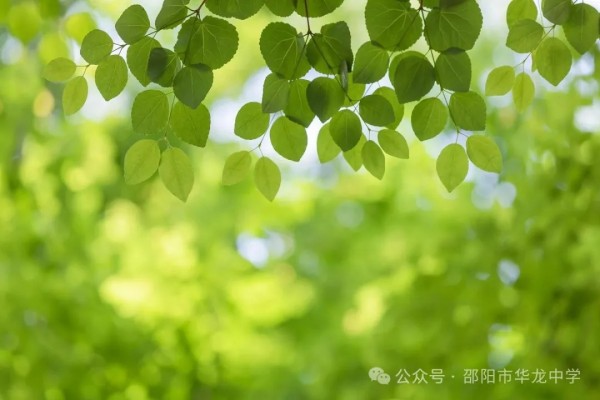 邵陽市華龍育英高級中學有限公司,邵陽中學教育,高中教育,師資雄厚,名優(yōu)教師